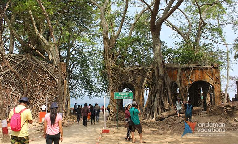 1-Splendid Andaman.jpg